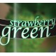 STRAWBERRY GREEN - FLAVOURART